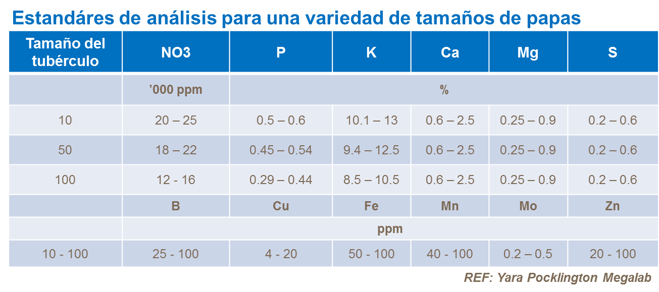 Estándares de análisis para una variedad de tamaño  de papa